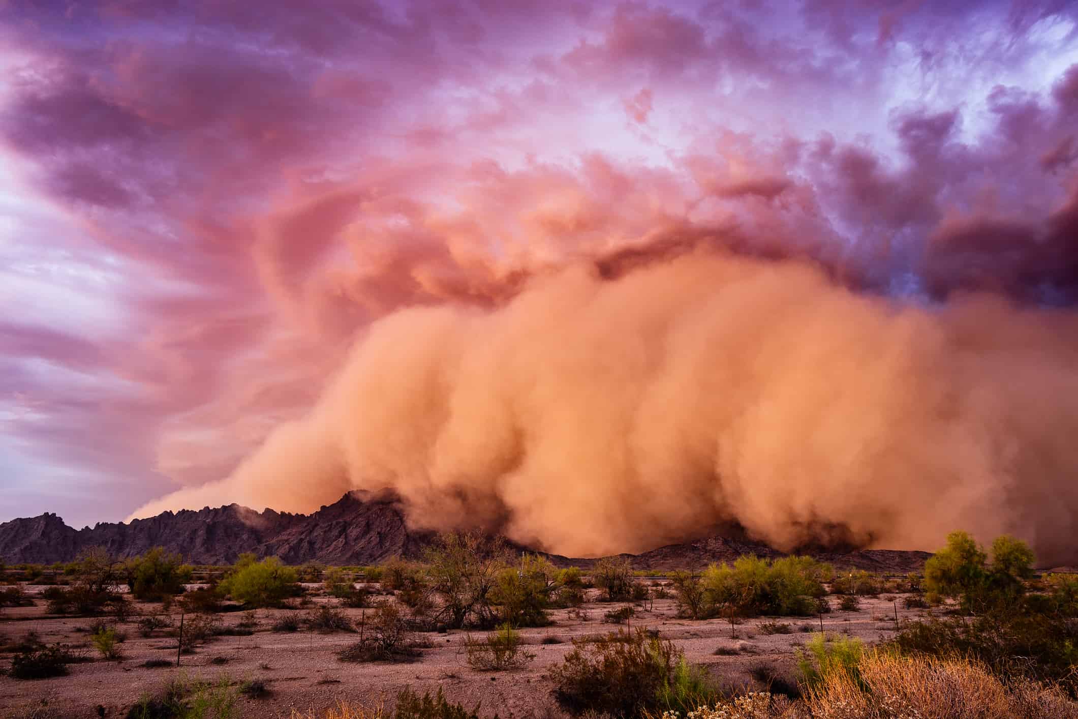 Tempeste di polvere in Texas: dove accadono di più