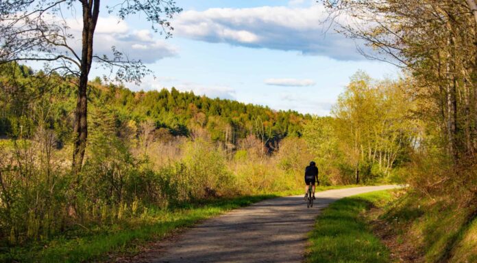 Lamoille Valley Rail Train