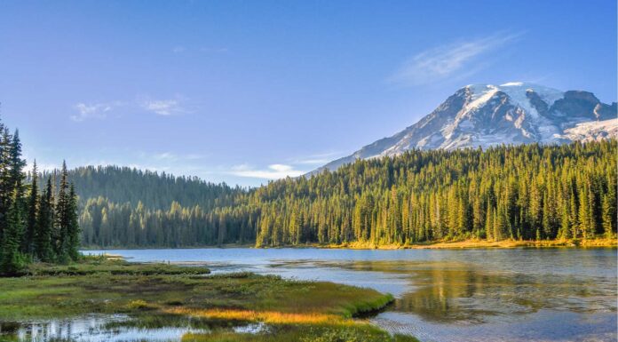 Best National Parks to Visit in October - Mount Rainier National Park
