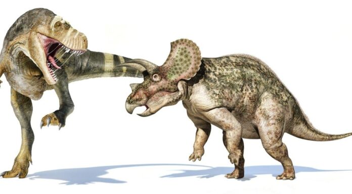 10 dinosauri con le corna
