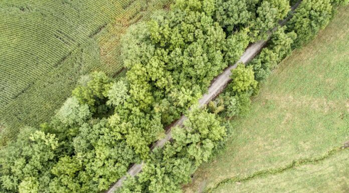 La pista ciclabile più lunga del Kentucky
