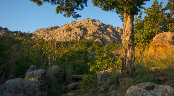 Kiamichi Mountains Oklahoma