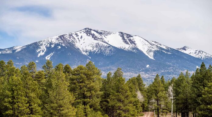 10 montagne uniche in Arizona
