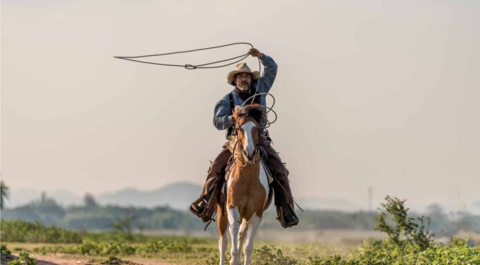 I 12 ranch più grandi del Texas
