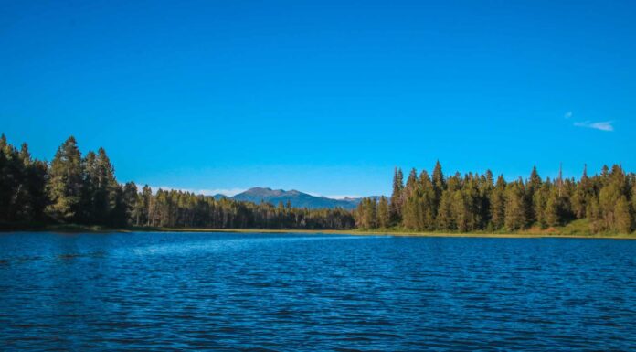 I 5 posti migliori per accamparsi in Idaho quest'estate
