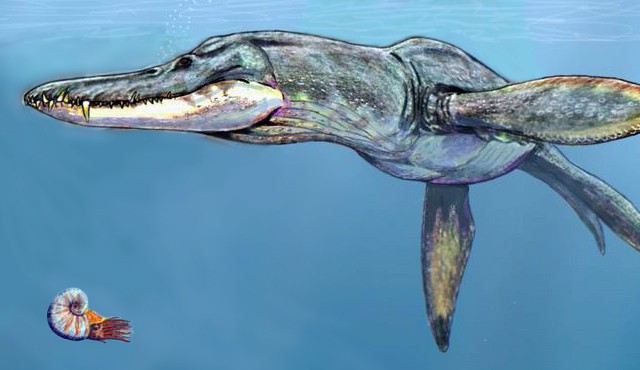 pliosauro

