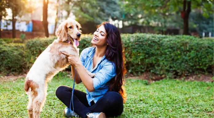 I 10 migliori parchi per cani a Tampa
