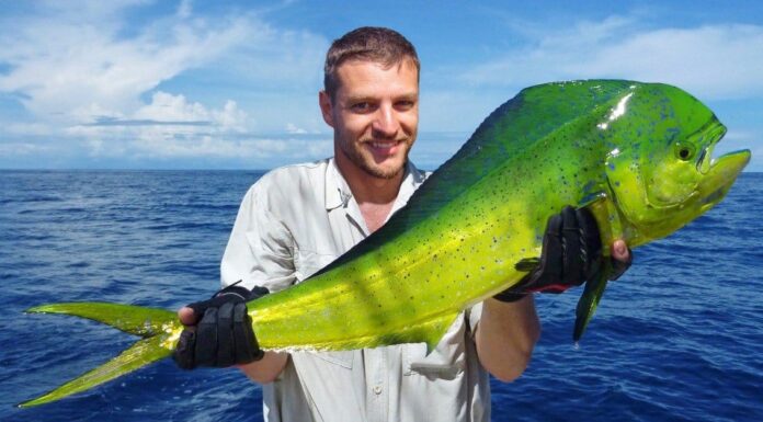 I 6 migliori pesci da catturare in Texas quest'estate
