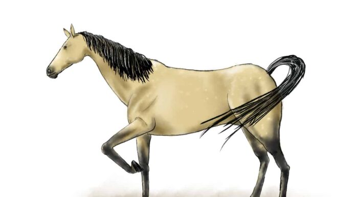 A The Top Horse Dewormers In 2022