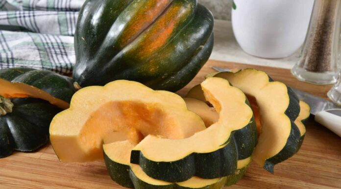 Acorn Squash vs Butternut Squash