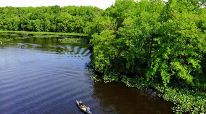 Trap Pond & State Park