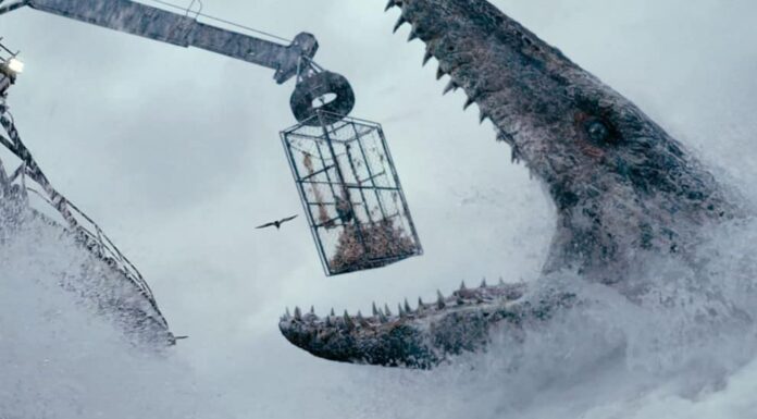 8 animali oceanici estinti 
