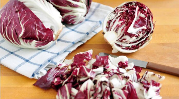 Radicchio vs Red Cabbage