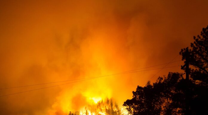 Che cos'è un incendio e cosa li causa?
