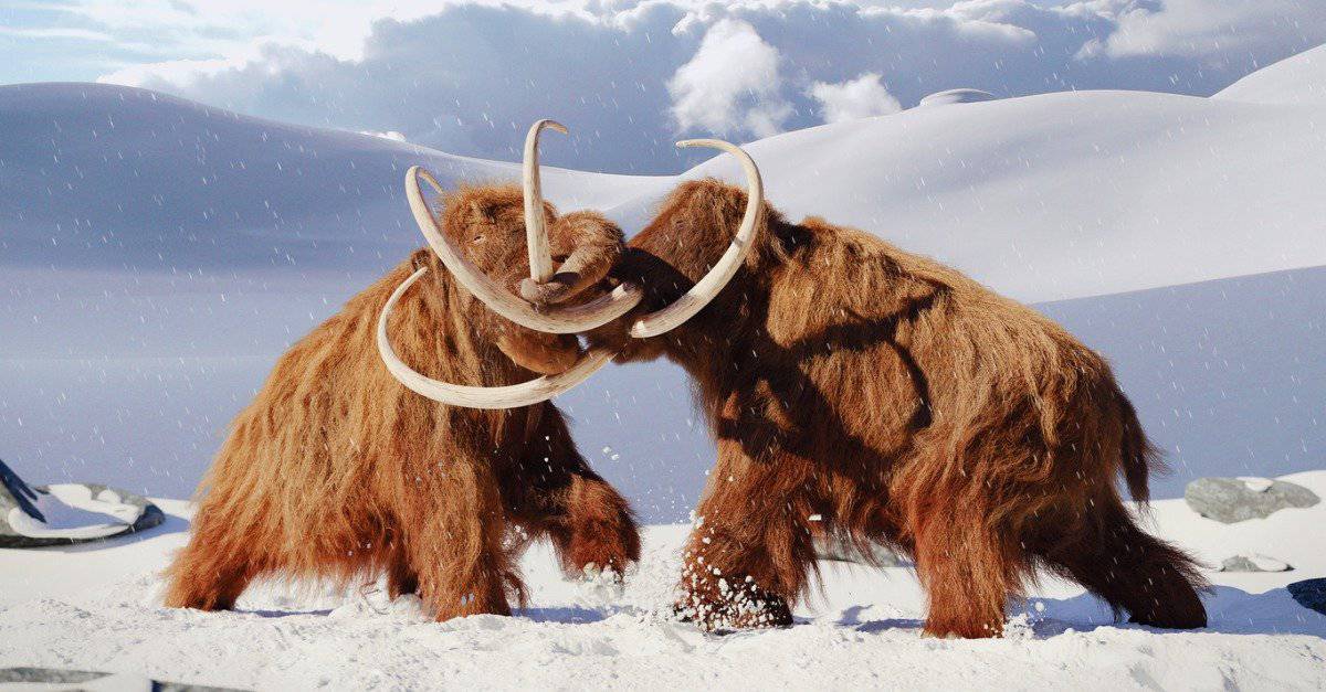 Scopri 6 animali estinti che vivevano nel Missouri