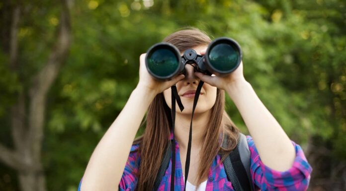 I 5 migliori posti per il birdwatching del Montana quest'estate
