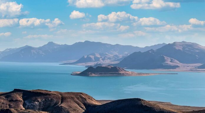 I 10 migliori luoghi di pesca in Nevada quest'estate
