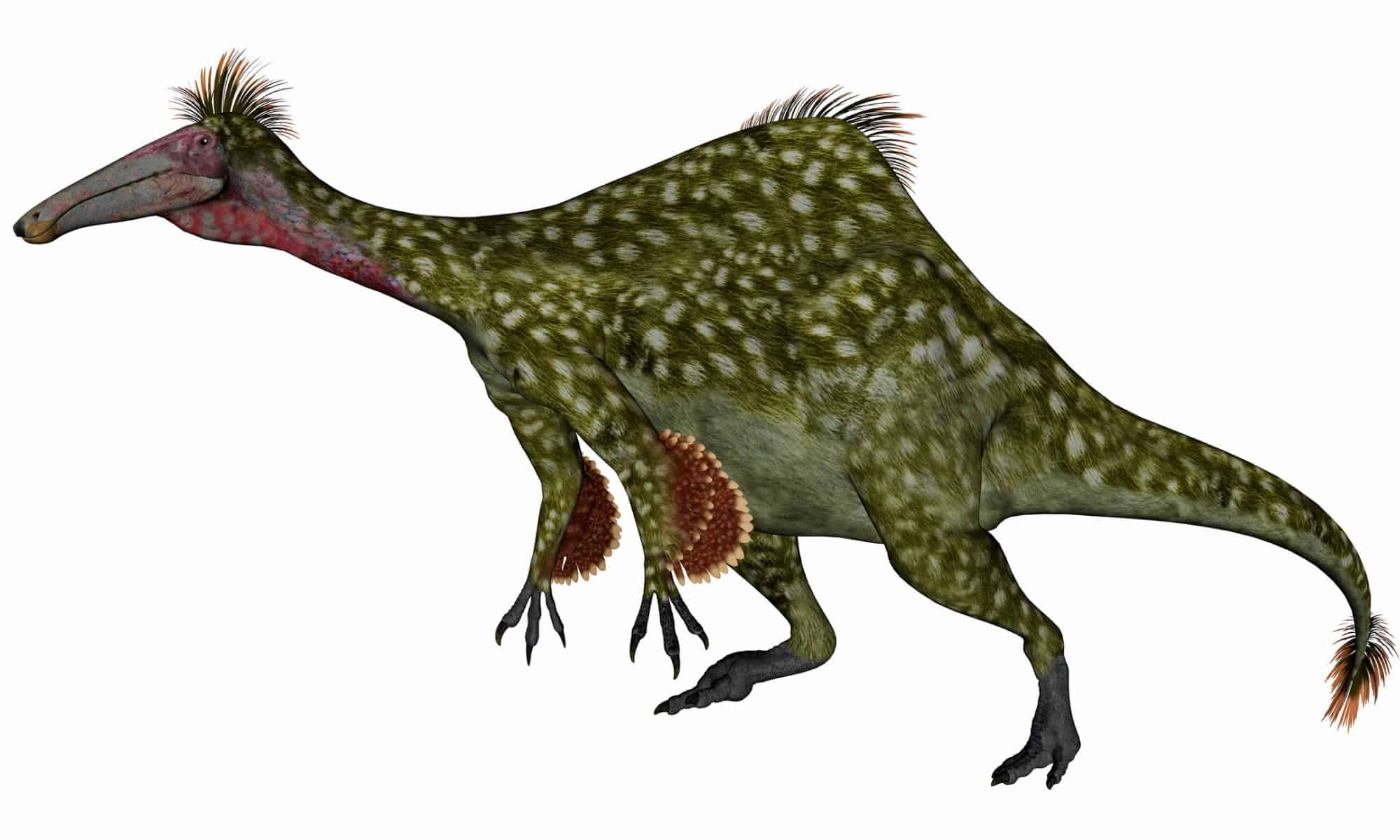 Deinocheirus