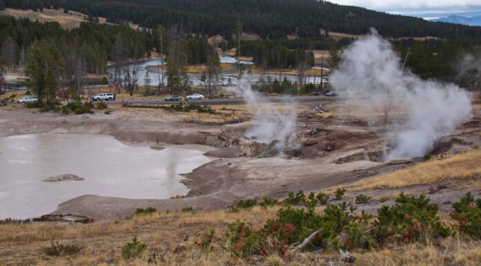 Yellowstone