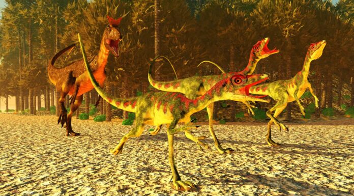 L'era mesozoica: grandi eventi, animali e piante
