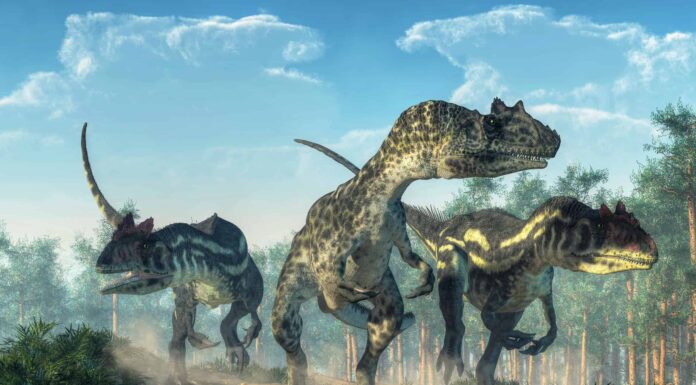 Scopri i 9 teropodi più strani
