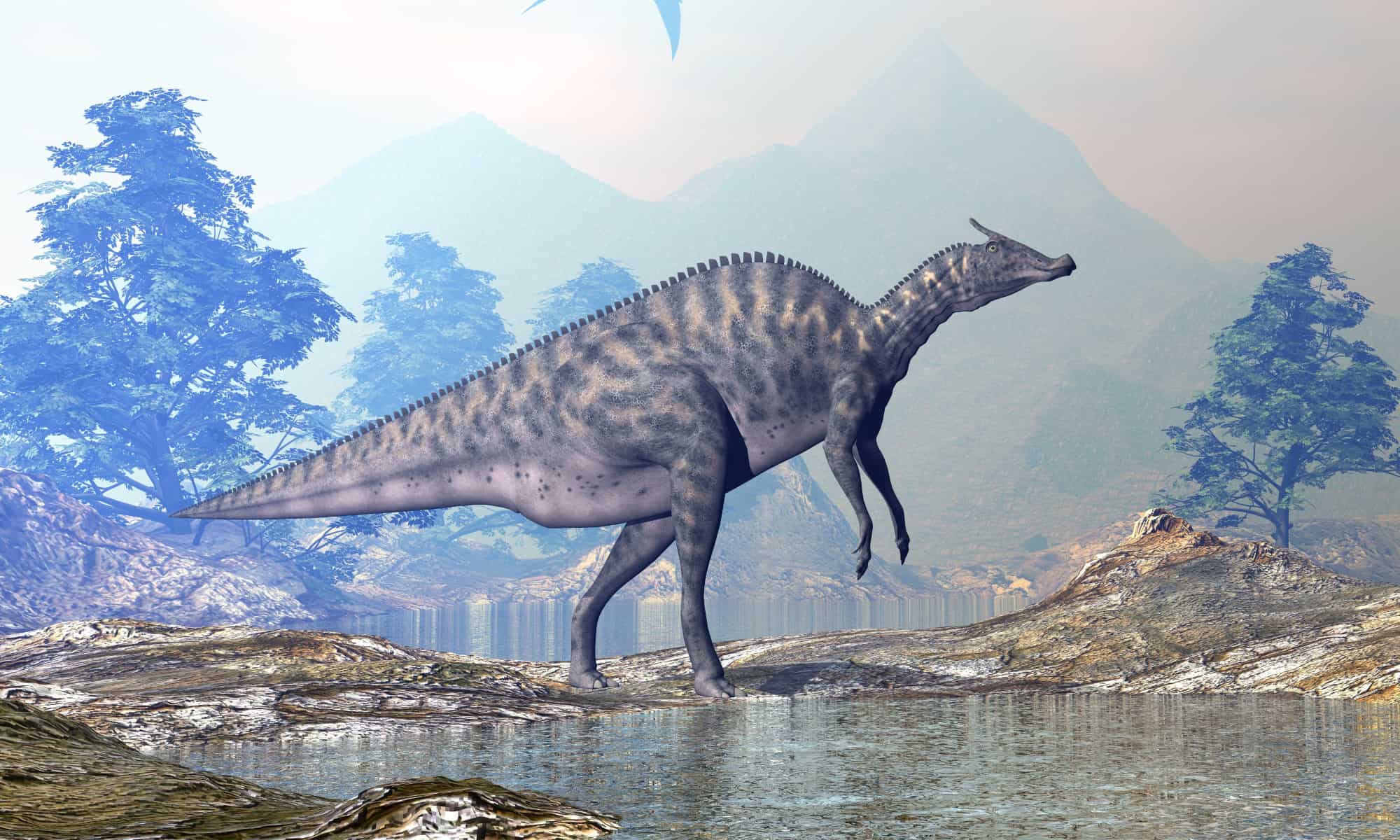 Scopri 6 animali estinti che vivevano in Virginia