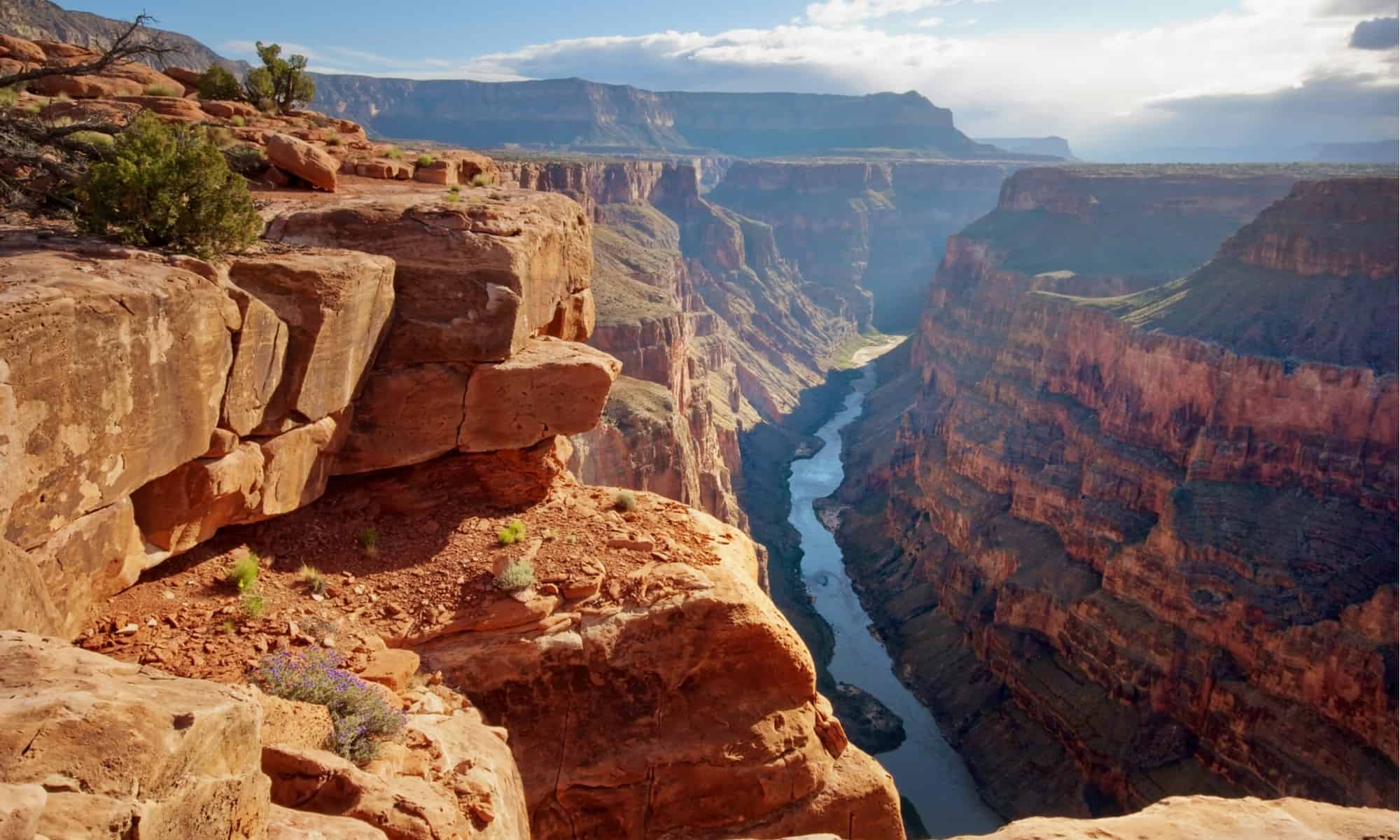 Cosa vive in fondo al Grand Canyon?
