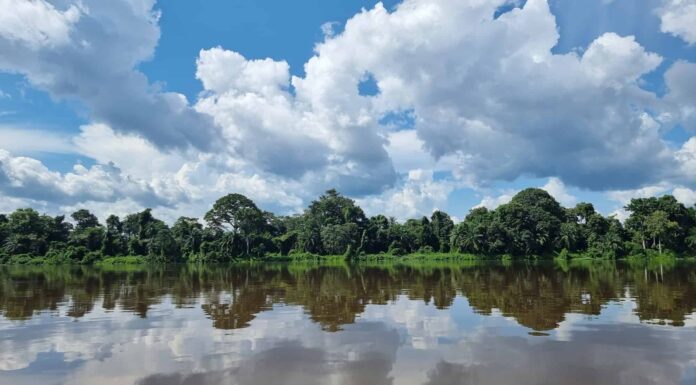 Cosa vive in fondo al fiume Congo?
