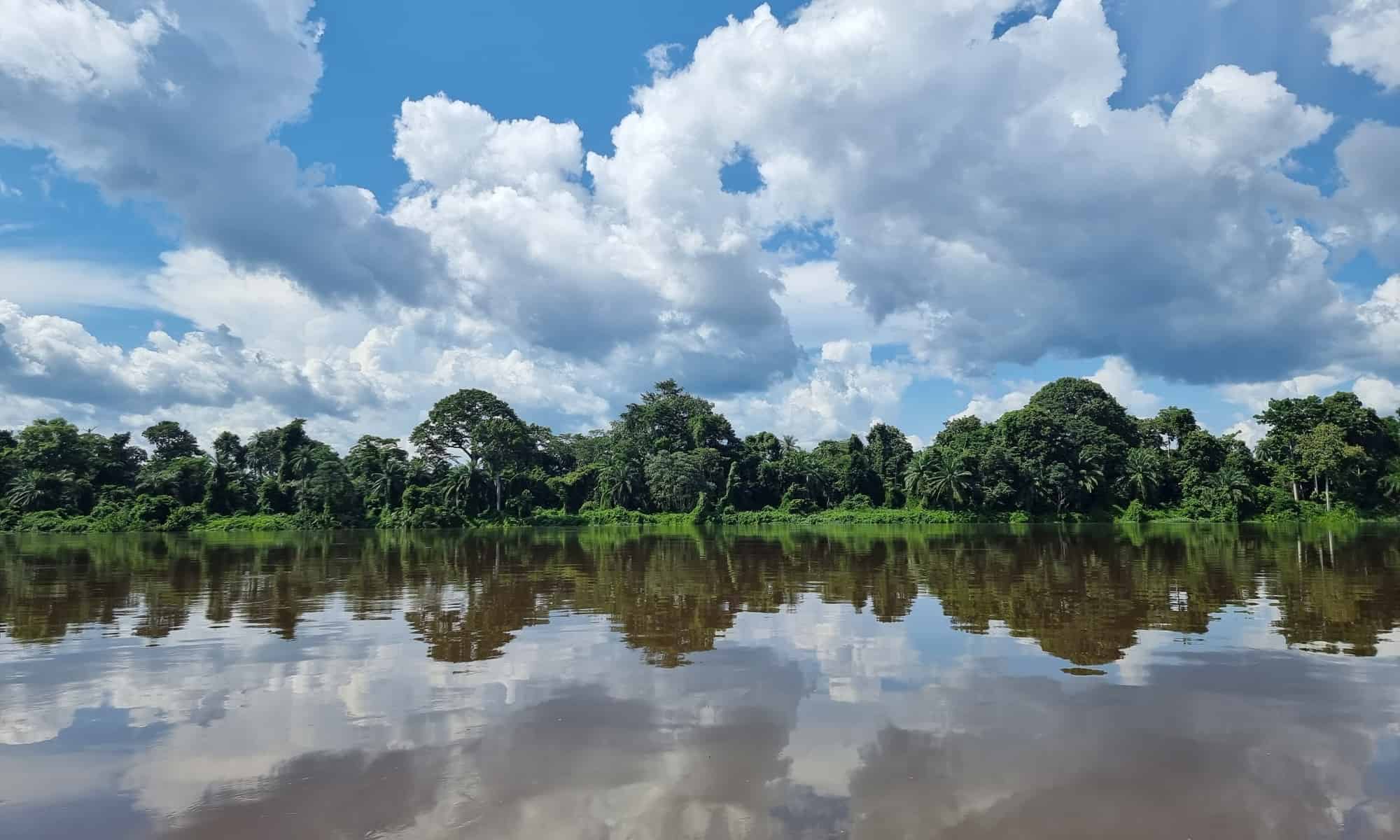 Cosa vive in fondo al fiume Congo?