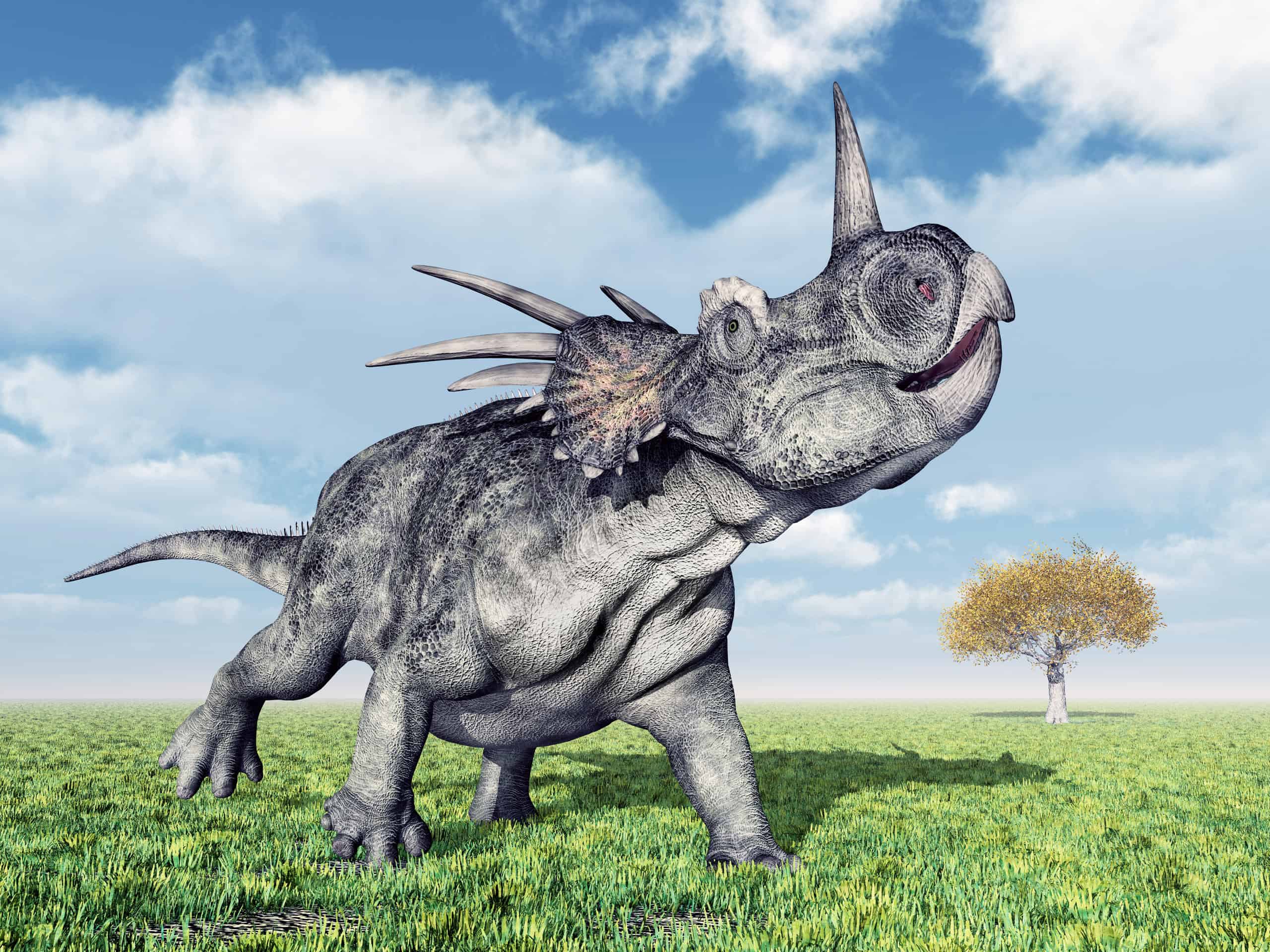 La più grande lucertola a spillo di sempre con 2 corna!