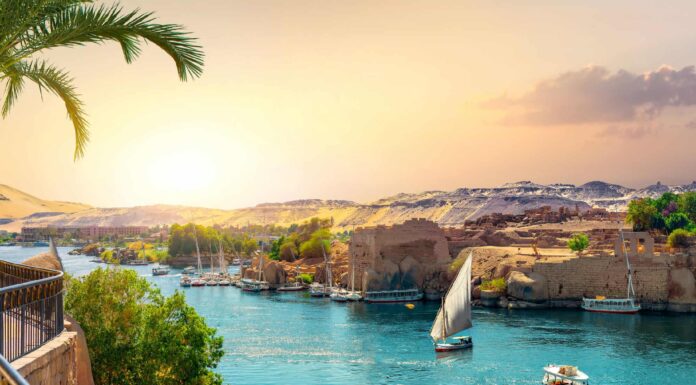 12 serpenti che vivono vicino al Nilo
