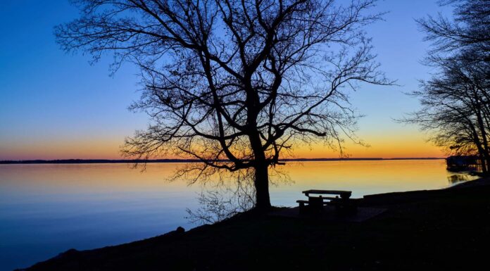 Bass Lake North Carolina