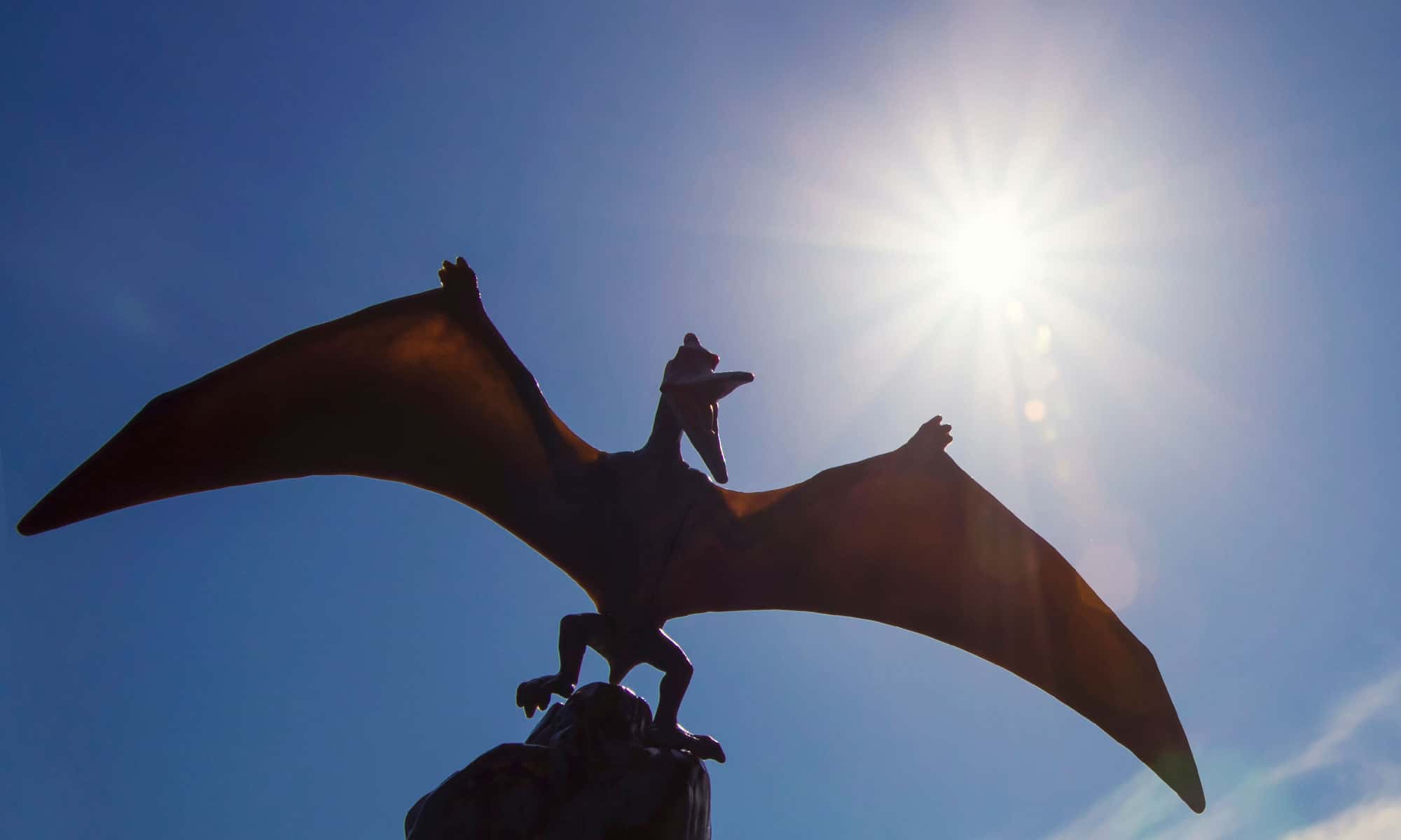 Scopri 5 animali estinti che vivevano nel Delaware