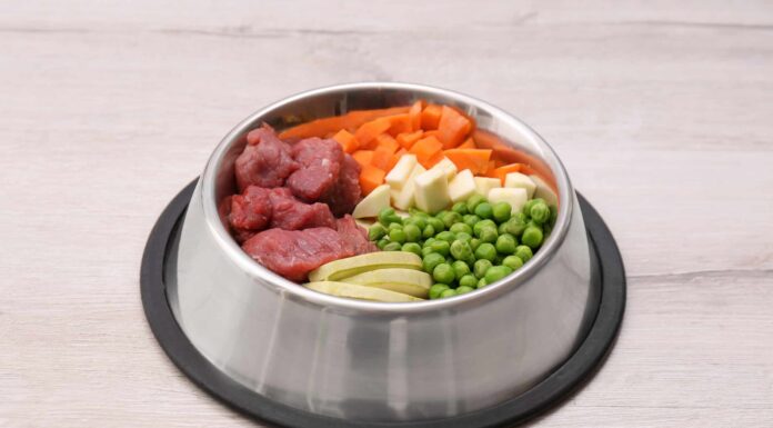 4 motivi per cui i cani possono (e dovrebbero) mangiare i piselli
