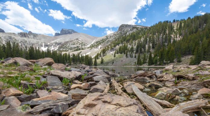 Scopri i parchi nazionali meno affollati in estate
