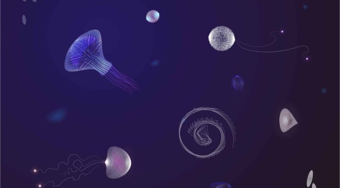 Cosa vive in fondo alla Fossa delle Marianne?
