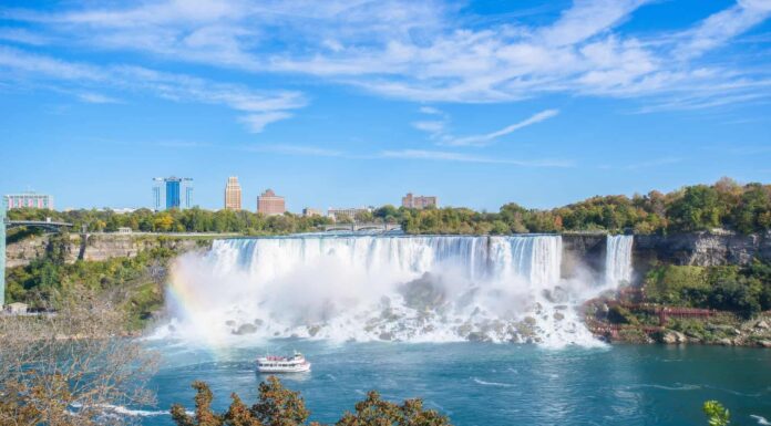 I pesci viaggiano sulle cascate del Niagara (e sopravvivono)?
