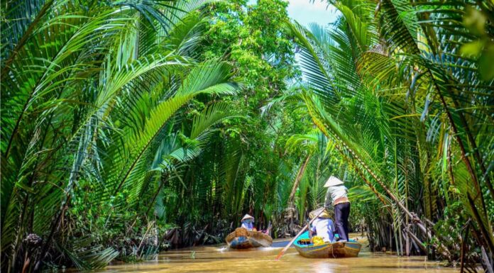 The Niger Delta is one of the largest river deltas on earth.