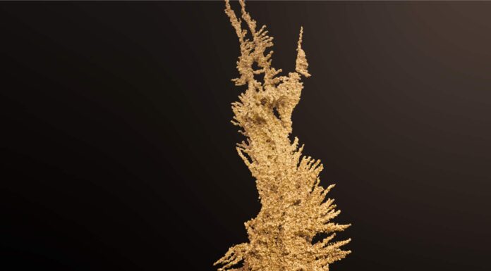 Scopri la più grande pepita d'oro mai trovata
