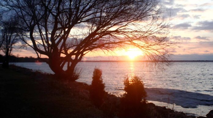 Scopri i 10 Stati più ventosi degli Stati Uniti
