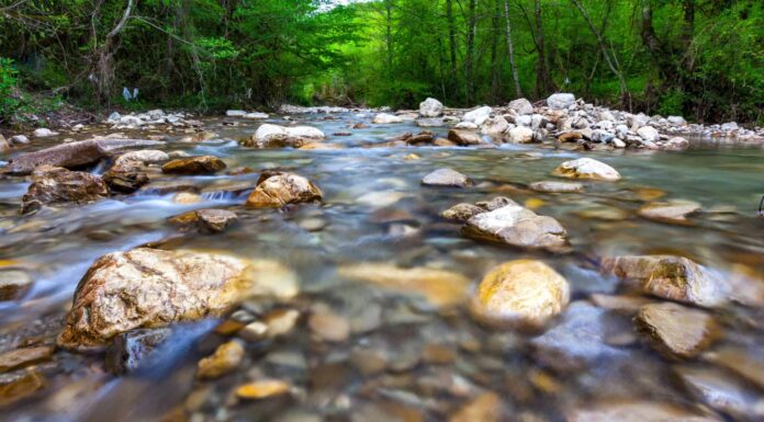 Qual è la differenza: spiegazione di River vs Creek
