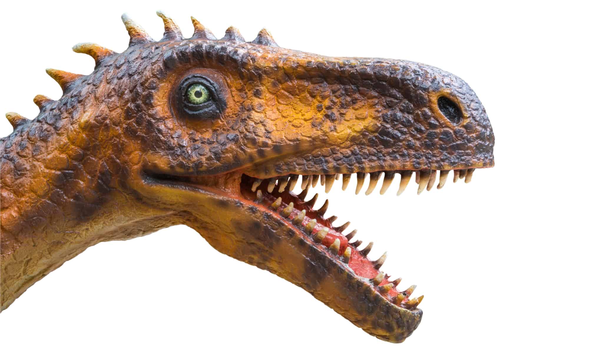 Scopri l'antico predatore che venne prima del Velociraptor