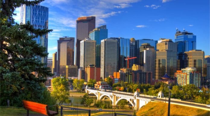 Incontra il posto più privo di topi delle Americhe (la dimensione del Texas!)
