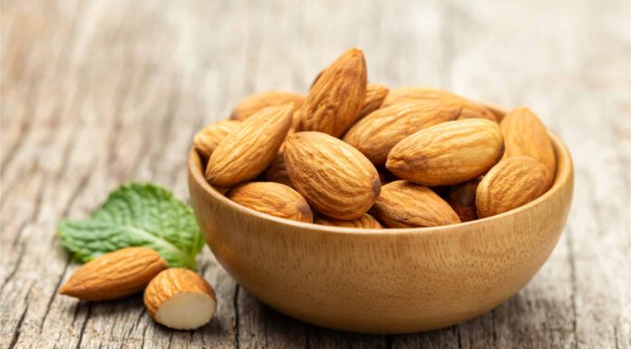  Perché i cani non possono mangiare le mandorle?  Quali sono le tossine pericolose?
