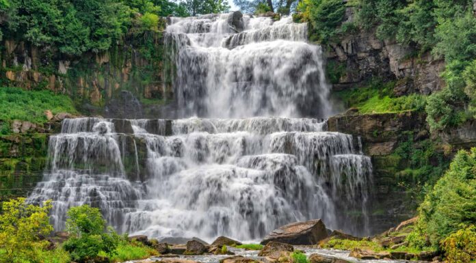 Le 10 cascate più belle del Missouri da non perdere
