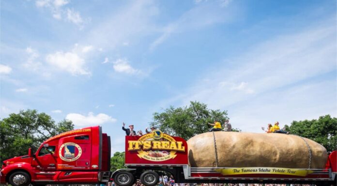 La patata più grande del mondo mai coltivata
