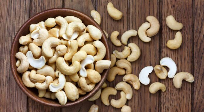  I cani possono mangiare gli anacardi in modo sicuro?  Cosa dovresti sapere
