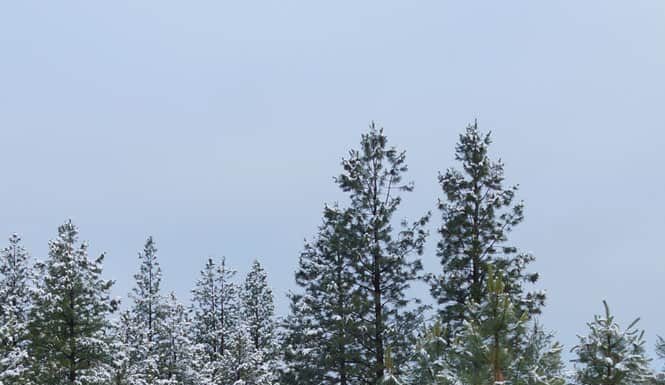 Scopri il luogo più freddo dell'Oregon
