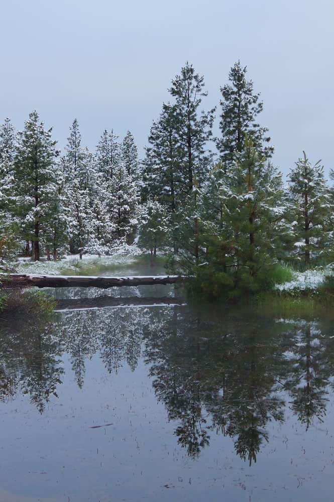 Scopri il luogo più freddo dell'Oregon
