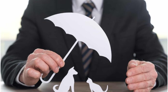 Cosa copre l'assicurazione per animali domestici?
